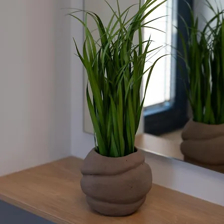 Terra Petra Luxury - The Seafront Retreat Skinária